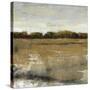 Pastoral I-Tim O'toole-Stretched Canvas