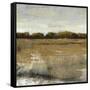 Pastoral I-Tim O'toole-Framed Stretched Canvas