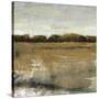 Pastoral I-Tim O'toole-Stretched Canvas