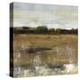 Pastoral II-Tim O'toole-Stretched Canvas