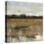 Pastoral II-Tim O'toole-Stretched Canvas