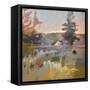 Pastoral IX-Jane Schmidt-Framed Stretched Canvas