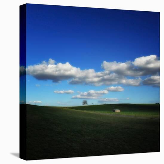 Pastoral Meadow-Philippe Sainte-Laudy-Stretched Canvas