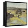 Pastoral Mist II-Jennifer Goldberger-Framed Stretched Canvas