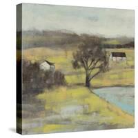 Pastoral Mist II-Jennifer Goldberger-Stretched Canvas