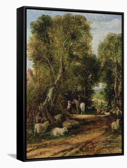 Pastoral Scene with Sheep, 19Th Century-George Cole-Framed Stretched Canvas