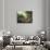 Pastoral Scene-Jean-Baptiste Huet-Giclee Print displayed on a wall