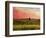 Pastoral Sunset-Robert Cattan-Framed Photographic Print