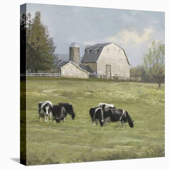 Pastoral - Sweet Meadow-Mark Chandon-Stretched Canvas