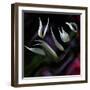 Pastoral symphony...-Thierry Dufour-Framed Photographic Print