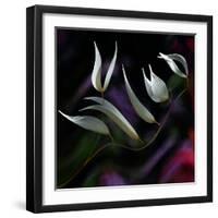 Pastoral symphony...-Thierry Dufour-Framed Photographic Print