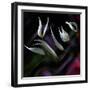 Pastoral symphony...-Thierry Dufour-Framed Photographic Print