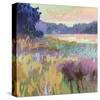 Pastoral XV-Jane Schmidt-Stretched Canvas