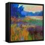 Pastoral XV-Jane Schmidt-Framed Stretched Canvas