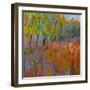 Pastoral XVII-Jane Schmidt-Framed Art Print