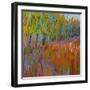 Pastoral XVII-Jane Schmidt-Framed Art Print