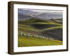 Pastoral-Roman Lipinski ©-Framed Photographic Print