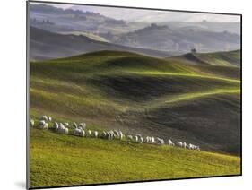 Pastoral-Roman Lipinski ©-Mounted Photographic Print