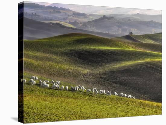 Pastoral-Roman Lipinski ©-Stretched Canvas