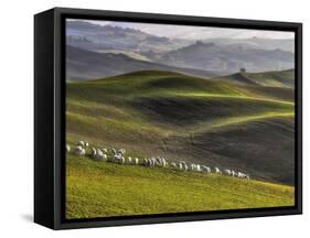 Pastoral-Roman Lipinski ©-Framed Stretched Canvas