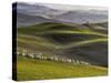 Pastoral-Roman Lipinski ©-Stretched Canvas