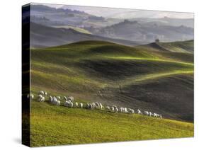 Pastoral-Roman Lipinski ©-Stretched Canvas