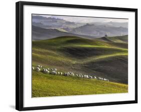 Pastoral-Roman Lipinski ©-Framed Photographic Print