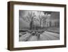 Pastoral-Julien Oncete-Framed Photographic Print