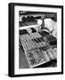 Pastry Chef at Hanselmann's Tearoom Preparing Confections for Afternoon Tea-null-Framed Photographic Print