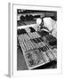 Pastry Chef at Hanselmann's Tearoom Preparing Confections for Afternoon Tea-null-Framed Photographic Print