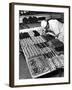 Pastry Chef at Hanselmann's Tearoom Preparing Confections for Afternoon Tea-null-Framed Photographic Print