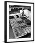 Pastry Chef at Hanselmann's Tearoom Preparing Confections for Afternoon Tea-null-Framed Photographic Print