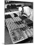 Pastry Chef at Hanselmann's Tearoom Preparing Confections for Afternoon Tea-null-Mounted Photographic Print