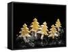 Pastry Christmas Trees with Pearl Sugar-null-Framed Stretched Canvas