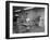 Pastry Making for Meat Pies, Rawmarsh, South Yorkshire, 1955-Michael Walters-Framed Photographic Print