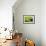 Pasturage-Marcin Sobas-Framed Premium Photographic Print displayed on a wall