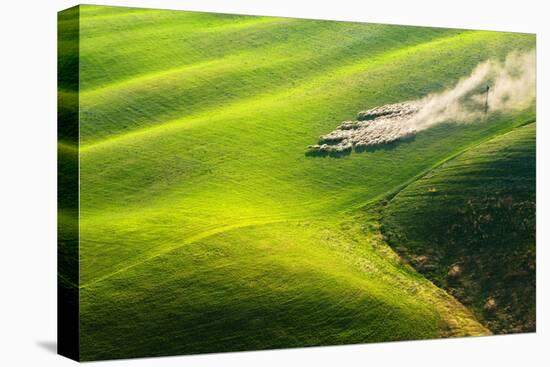 Pasturage-Marcin Sobas-Stretched Canvas