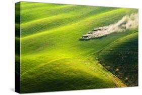 Pasturage-Marcin Sobas-Stretched Canvas