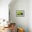 Pasturage-Marcin Sobas-Framed Photographic Print displayed on a wall