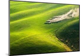 Pasturage-Marcin Sobas-Mounted Photographic Print