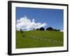 Pasture and Farm Houses in Nova Ponente Village, Bolzano Province, South Tyrol, Italy, Europe-Carlo Morucchio-Framed Photographic Print