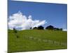 Pasture and Farm Houses in Nova Ponente Village, Bolzano Province, South Tyrol, Italy, Europe-Carlo Morucchio-Mounted Photographic Print