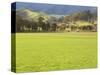 Pasture, Biggara Valley, Victoria, Australia-Jochen Schlenker-Stretched Canvas