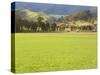 Pasture, Biggara Valley, Victoria, Australia-Jochen Schlenker-Stretched Canvas