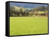 Pasture, Biggara Valley, Victoria, Australia-Jochen Schlenker-Framed Stretched Canvas