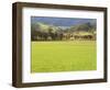 Pasture, Biggara Valley, Victoria, Australia-Jochen Schlenker-Framed Photographic Print