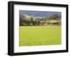 Pasture, Biggara Valley, Victoria, Australia-Jochen Schlenker-Framed Photographic Print