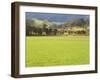 Pasture, Biggara Valley, Victoria, Australia-Jochen Schlenker-Framed Photographic Print