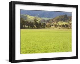 Pasture, Biggara Valley, Victoria, Australia-Jochen Schlenker-Framed Photographic Print
