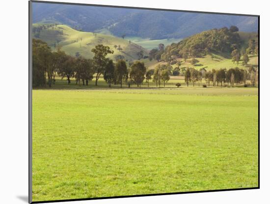 Pasture, Biggara Valley, Victoria, Australia-Jochen Schlenker-Mounted Photographic Print